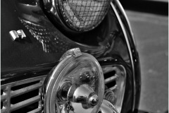 IMG_6555
