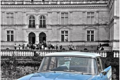 IMG_8981
