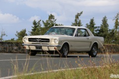 IMG_9062
