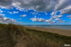 IMG_7011