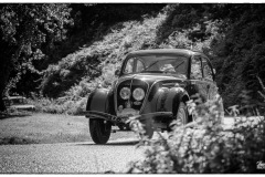 TIV-1-261