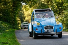 P6A1717-copie