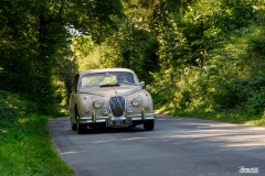 P6A1752-copie