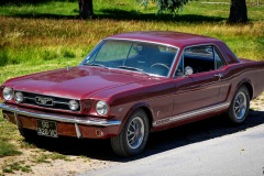 P6A1792-copie