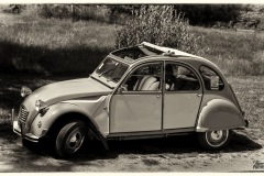 P6A1793-copie