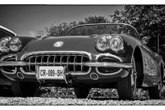 P6A1795-copie
