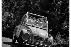 P6A1803-copie