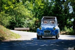 P6A1805-copie