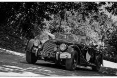 P6A1858-copie