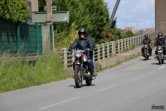 IMG_8252