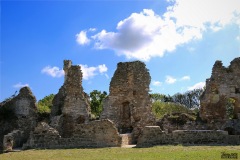 IMG_8452