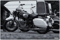 MG_3195-copie