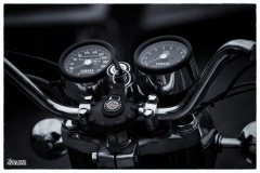 MG_3204-copie-3