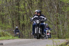MG_3249-copie