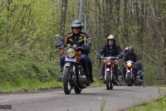 MG_3270-copie