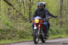 MG_3275-copie