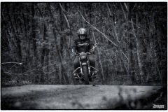 MG_3294-copie