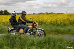 MG_3383-copie