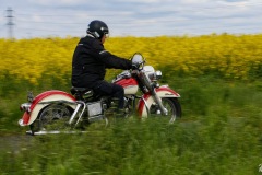 MG_3415-copie