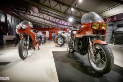 MG_3569-copie