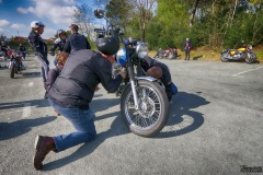 MG_3633-copie