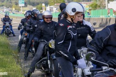 MG_3648-copie
