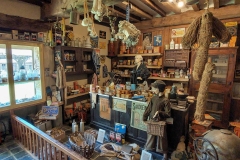 1000012224-copie