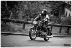 P6A3582-copie