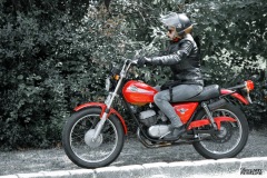 P6A5132-copie