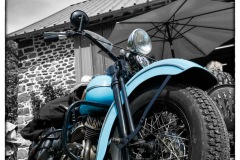P6A5149-copie