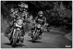 P6A5517-copie1