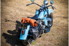 P6A6229-copie