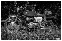 P6A6269-copie-2
