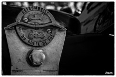 P6A6278-copie