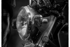 P6A6290-copie