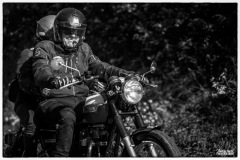 P6A6392-copie