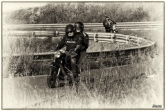 P6A6423-copie