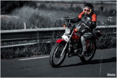 P6A6466-copie