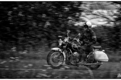 P6A6684-copie
