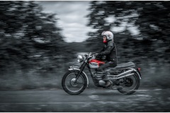 P6A6692-copie