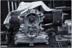 IMG_1008-copie