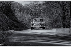 IMG_1024-copie