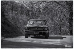 IMG_1056-copie
