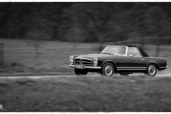 P6A0542-copie_1