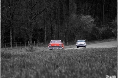 P6A0575-copie_1