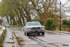 P6A9045-copie