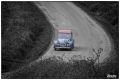 P6A9198-copie