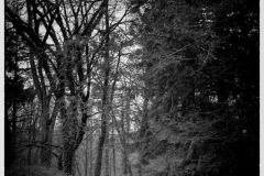 P6A9266-copie