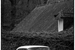 P6A9283-copie
