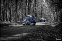 P6A4232-copie